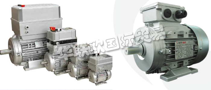 意大利BERMAR公司的主要產(chǎn)品包括：意大利BERMAR電機、BERMAR電動機、異步電機、異步電動機、永磁發(fā)動機、逆變器、伺服通風電動機、伺服電動機、工業(yè)洗衣機電動機、單相電動機、DRIVEJET鼓風機、高效電機、泵、風扇、工業(yè)壓縮機。